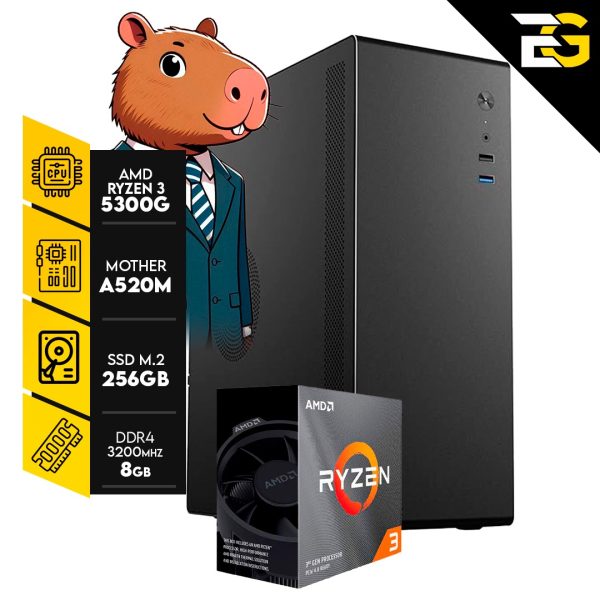 PC BASICA | R. 3 5300G - 8GB RAM - SSD M.2 256GB / Teclado y Mouse Incluidos